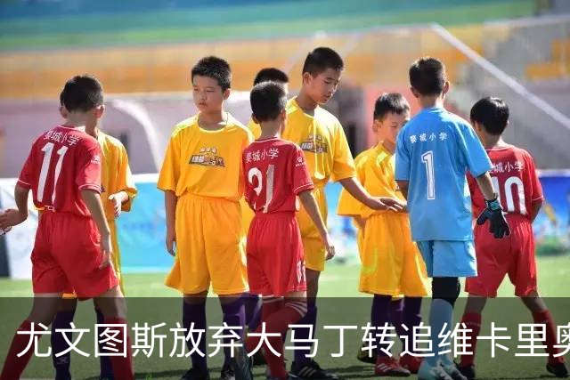 尤文图斯放弃大马丁转追维卡里奥，转会风云再起