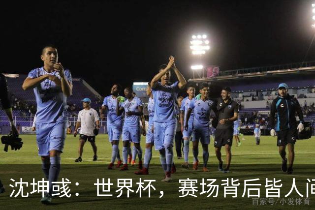 沈坤彧：世界杯，赛场背后皆人间