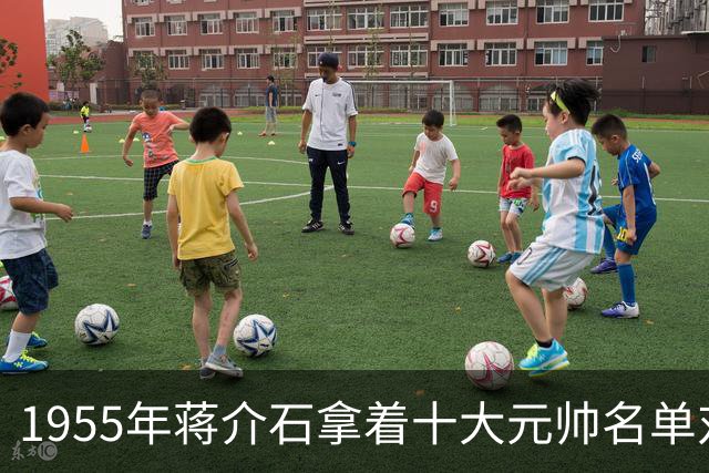 1955年蒋介石拿着十大元帅名单对宋美龄说：这个人真是太厉害了？